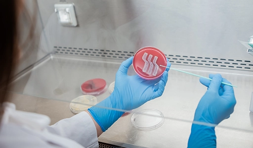 A person in a white lab coat and blue gloves is working on a sample (Photo)