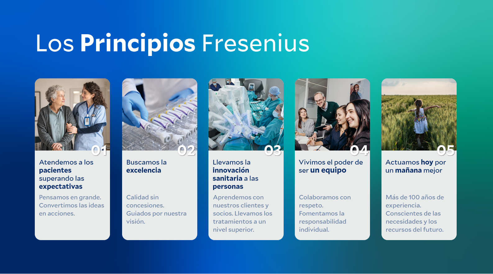 Los Principios Fresenius (Infografía)